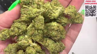 Mrs Dank Flamingo Blazes Up 4 Strains from Lit Farms!!