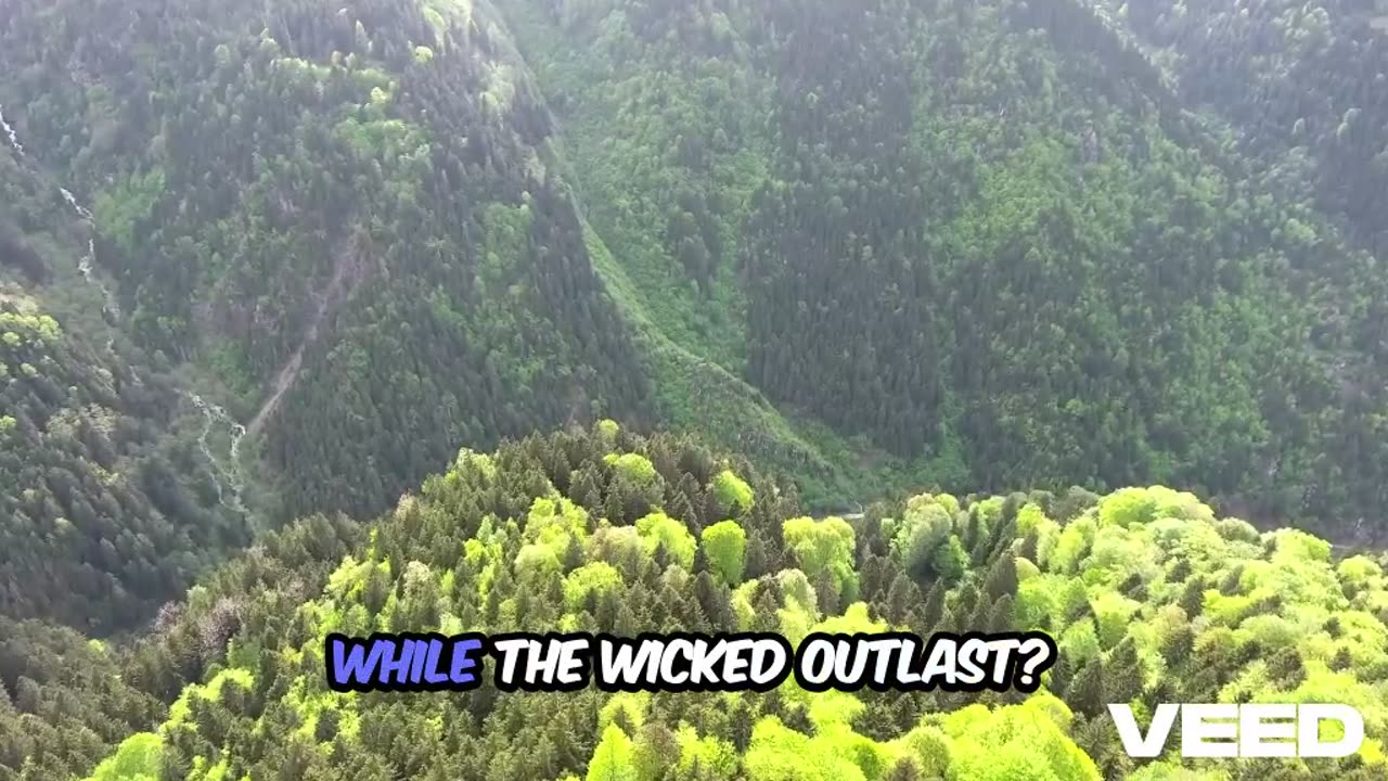 Wanc- silent cry(OFFICIAL AUDIO) 2025