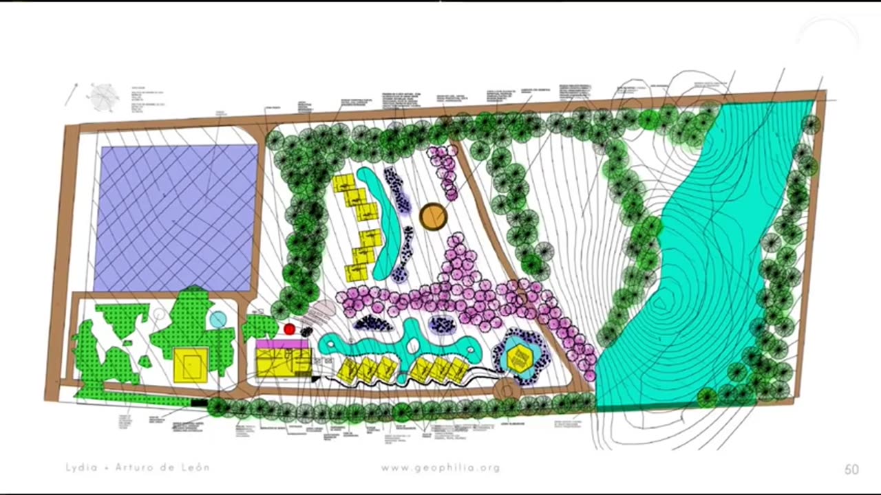 The Conscious Resistance