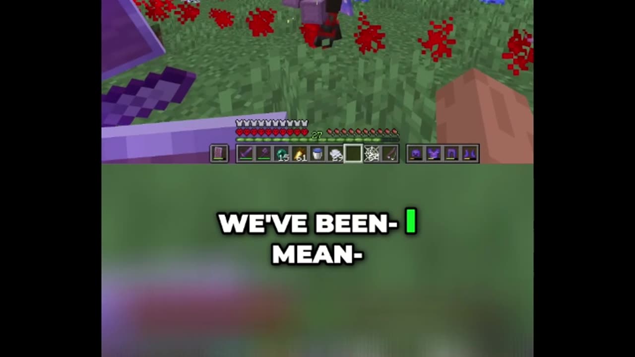 The End of Our Minecraft SMP | I Went Too Far
