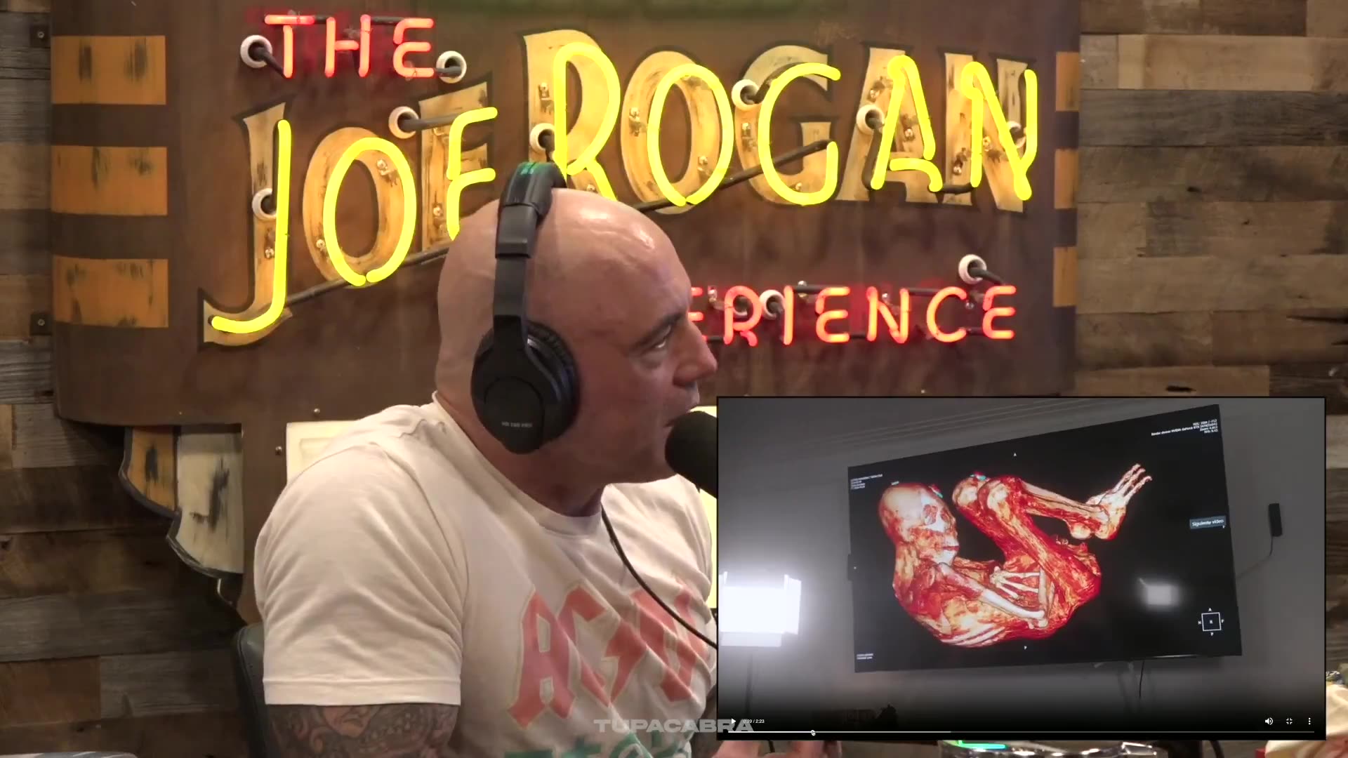 Jesse Michels reveals amazing new details about the alleged Alien Mummies found in Peru.