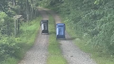 She Saw These Bins Moving On Their Own! 😨
