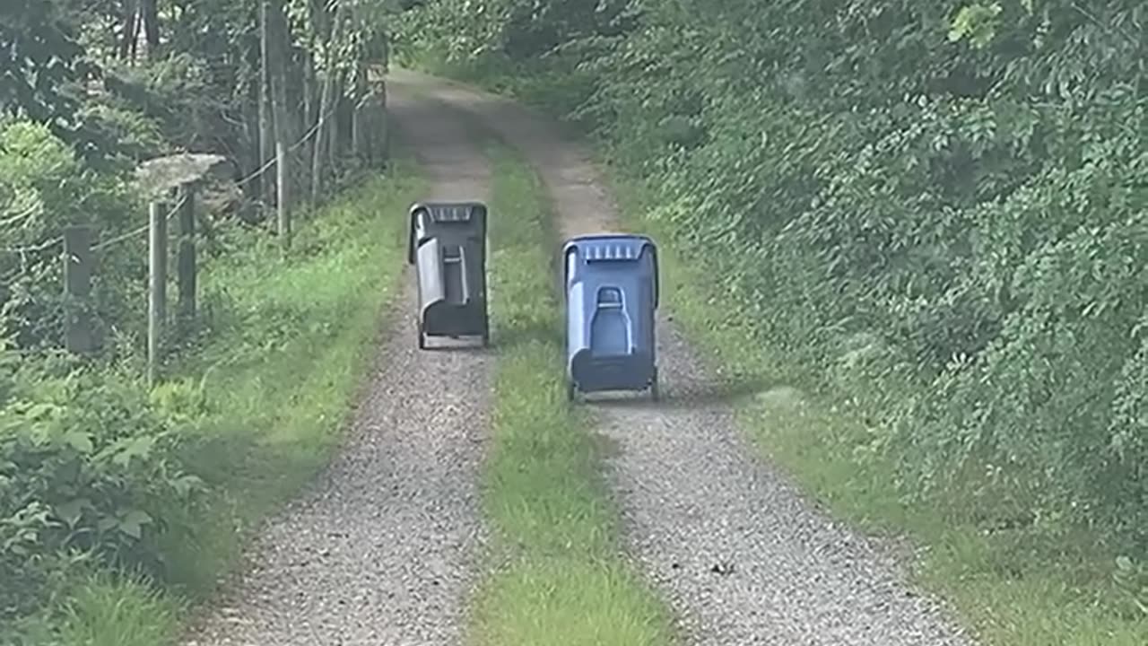 She Saw These Bins Moving On Their Own! 😨