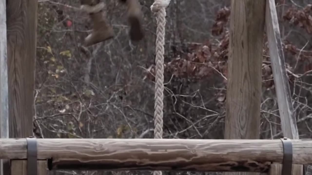 Basic training is INSANE