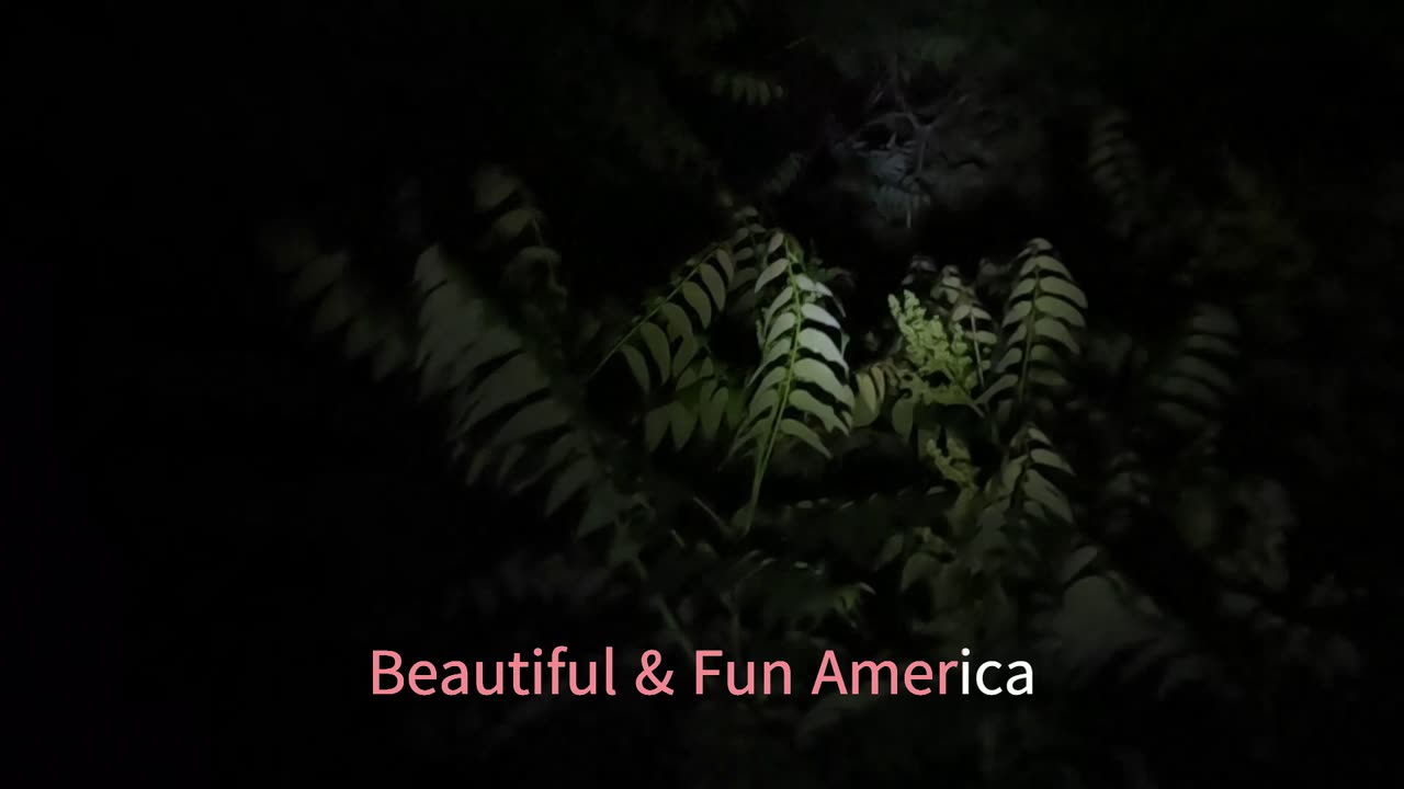 Pat Benatar SHADOWS OF THE NIGHT music video