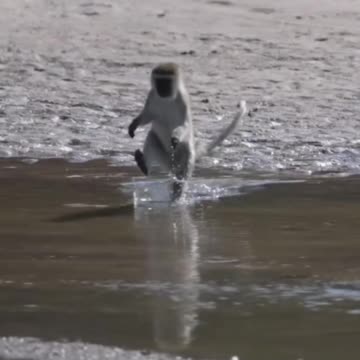 The floor is lava.. 😂