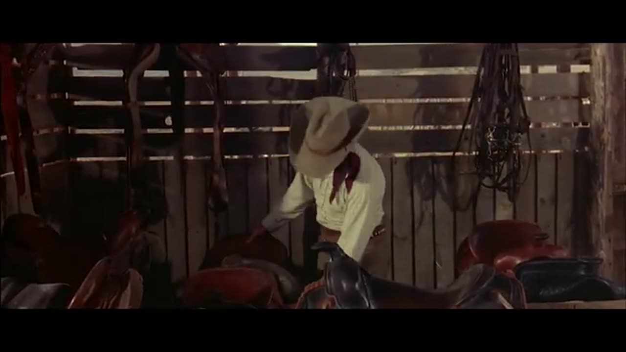 The Texican, Starring Audrey Murphy