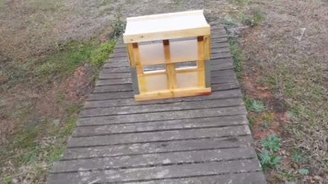 Cleaning Up, Tool Box Stand, Daphne Thermostat & MORE!