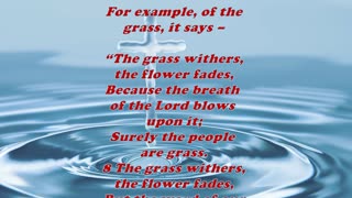 Matthew 15:35 - Daily Bible Verse Commentary