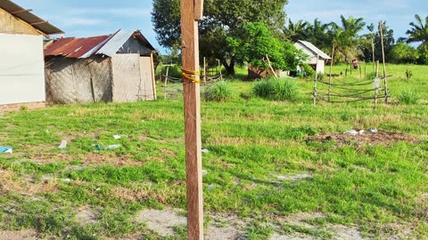 The Joy of Walking Barefoot – Feeling the Earth Beneath Your Feet