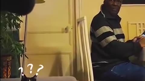Funny video