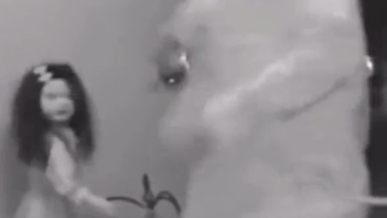 😱👻 You Won't Believe What They Caught on Camera! Ouija Board, Jinn, Aliens, Poltergeist | TheHauntin