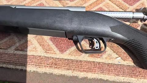 Savage brush hunter 338 win mag
