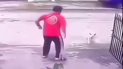 😂😂 How to Survive a Dog Attack in 8 Seconds! | FunFM