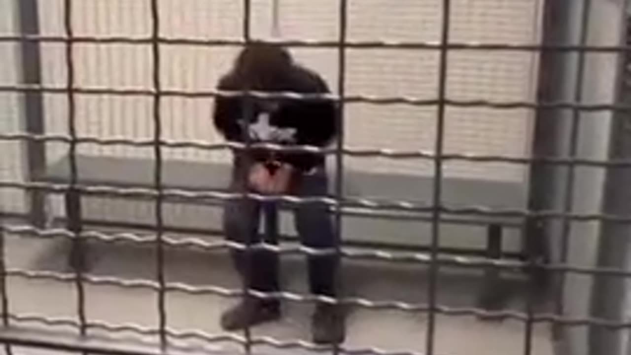 Diversity arrested for writing a kill list at Highbanks Learning Center in Deltona Florida