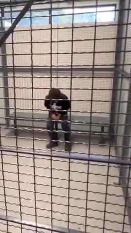 Diversity arrested for writing a kill list at Highbanks Learning Center in Deltona Florida