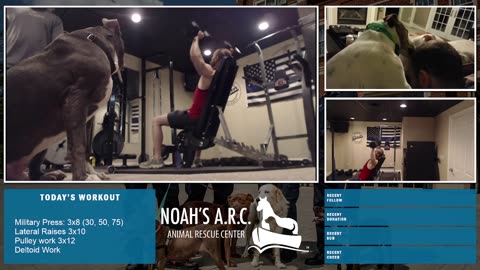 Gym Session w/Hank-a-Tank & Dufus [Week 16] - Boulder Shoulders // Animal Rescue Stream :)