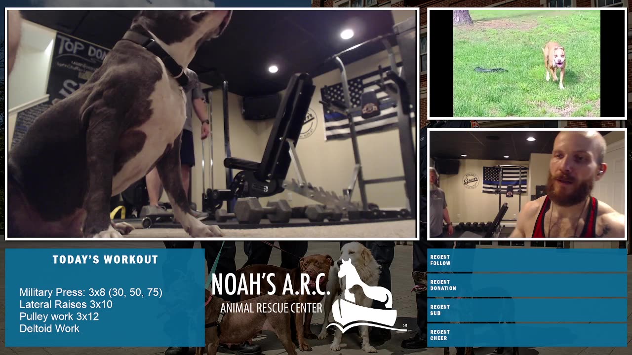 Gym Session w/Hank-a-Tank & Dufus [Week 16] - Boulder Shoulders // Animal Rescue Stream :)