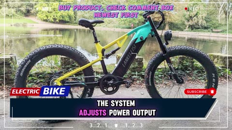 Lankeleisi RV800 Electric Bike 750W Motor 48V 20Ah Battery 26" Electric Bike