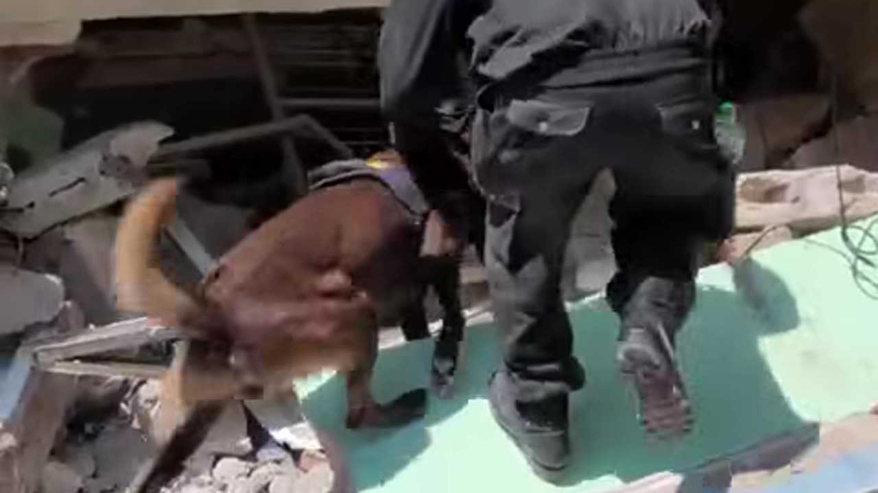 Rescue work for earthquake victims in Myanmar is still continuing
