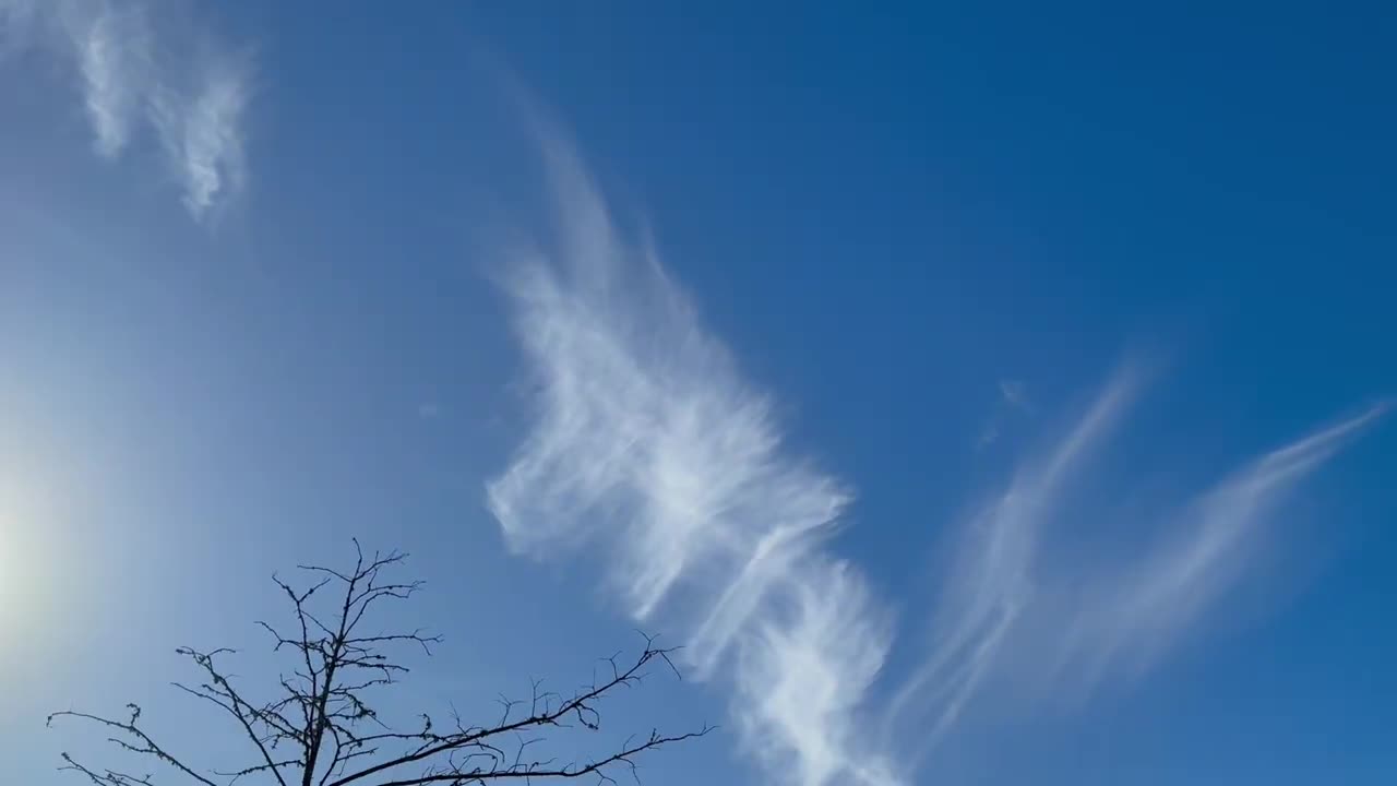 Bryan TX Chemtrails