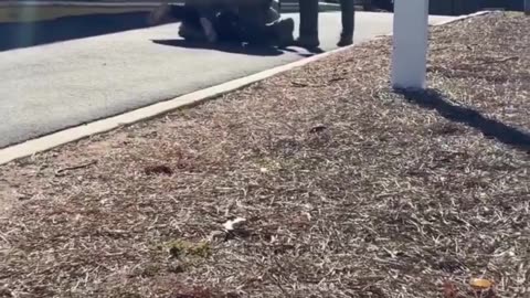 Multiple DHS agents had to forcibly detain an illegal alien who was resisting arrest