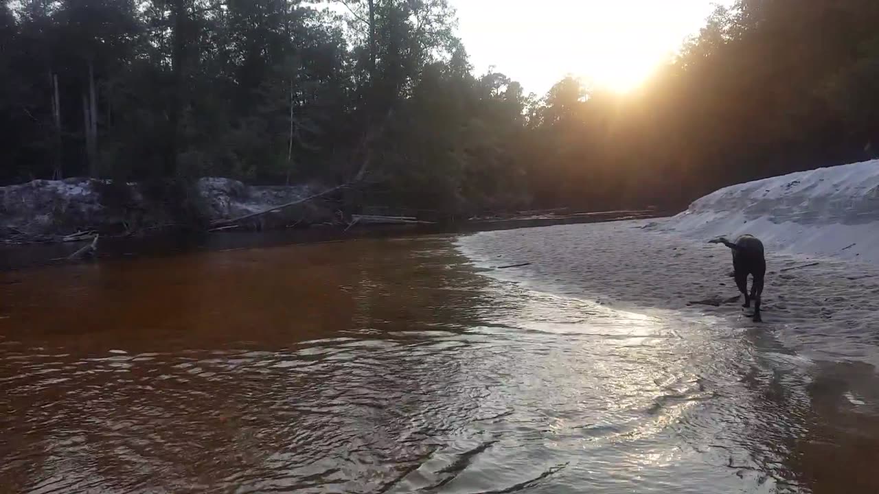 River Riley