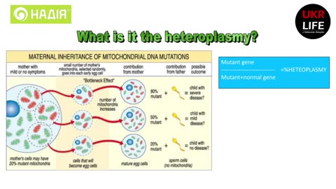 A child from “three parents,” mitochondrial replacement therapy - Dr. Valery Zukin