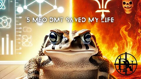 5 MEO DMT SAVED MY LIFE