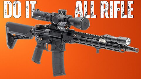 If You Can Only Have 1 AR This Is It!