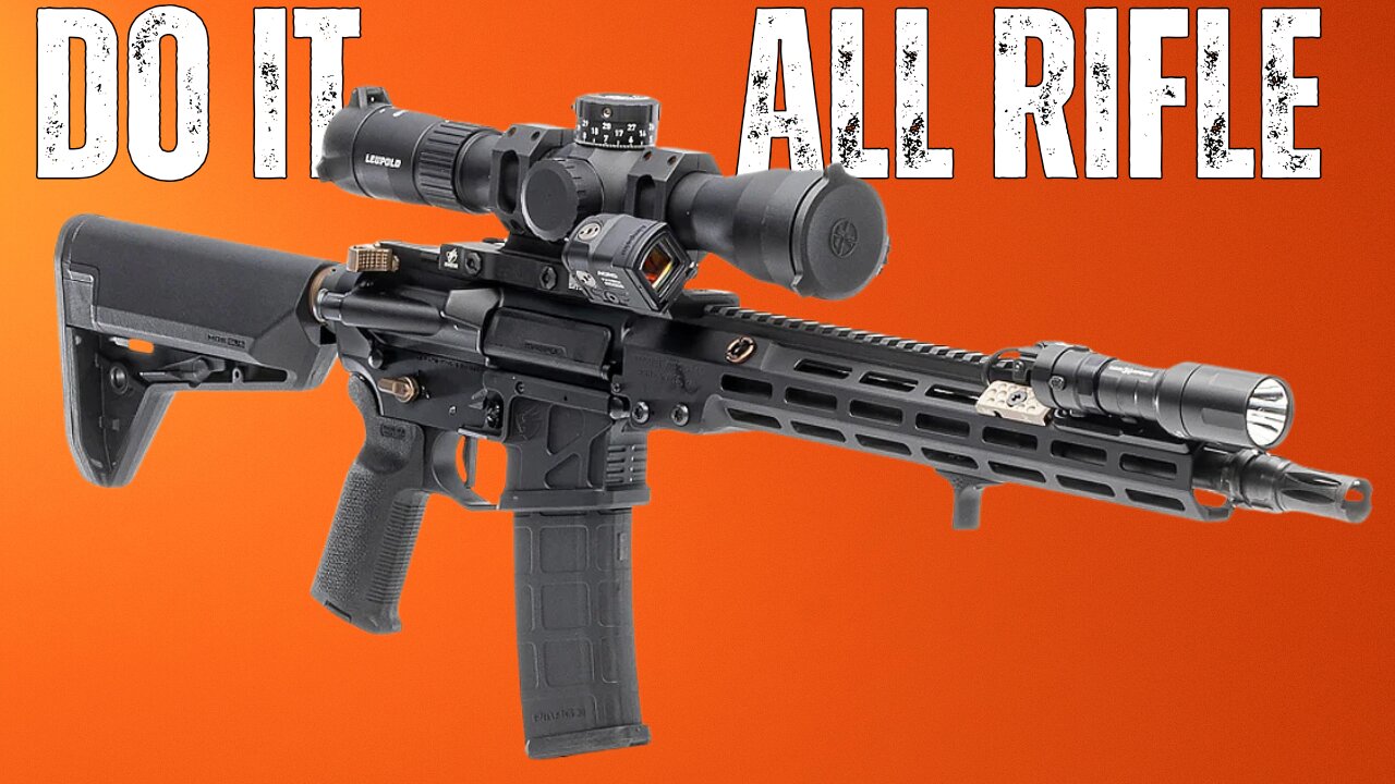 If You Can Only Have 1 AR This Is It!