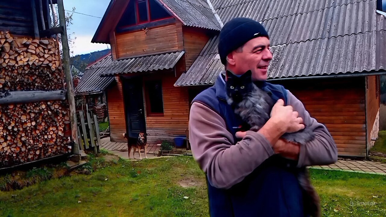 Simple Life in the Mountains | Autumn Chores)