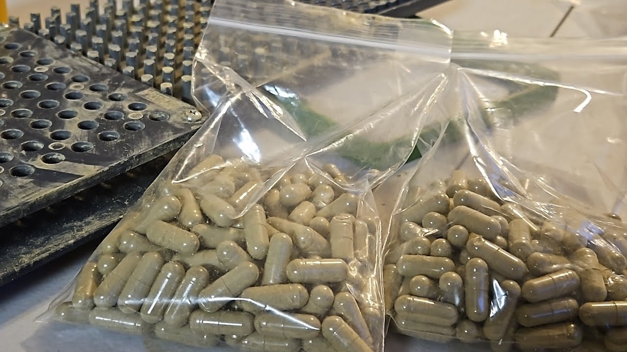 PROPHECY WATCH: M0TB UPDATE (IT IS HERE)