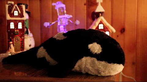 Another Whale Christmas! (Andrew Blaze - Randy Stair)