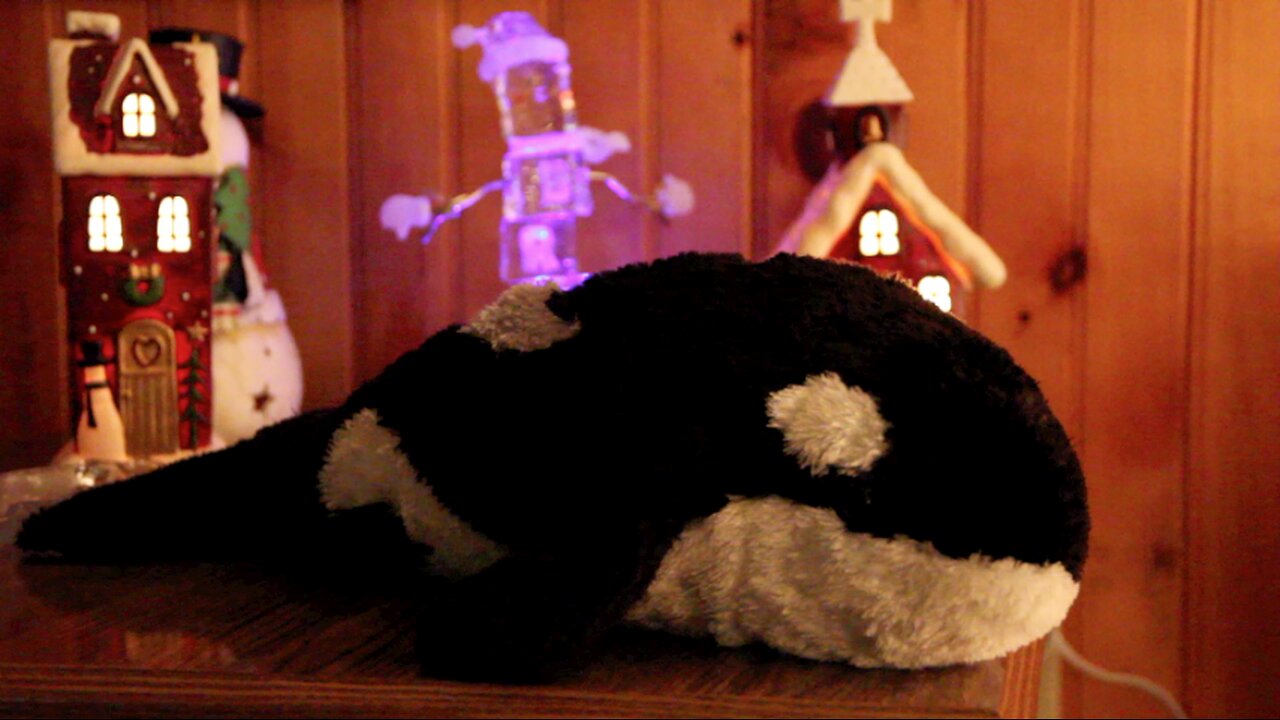 Another Whale Christmas! (Andrew Blaze - Randy Stair)