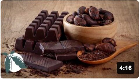 10 Proven Health Benefits of Dark Chocolate | Why Is Dark Chocolate Healthy?