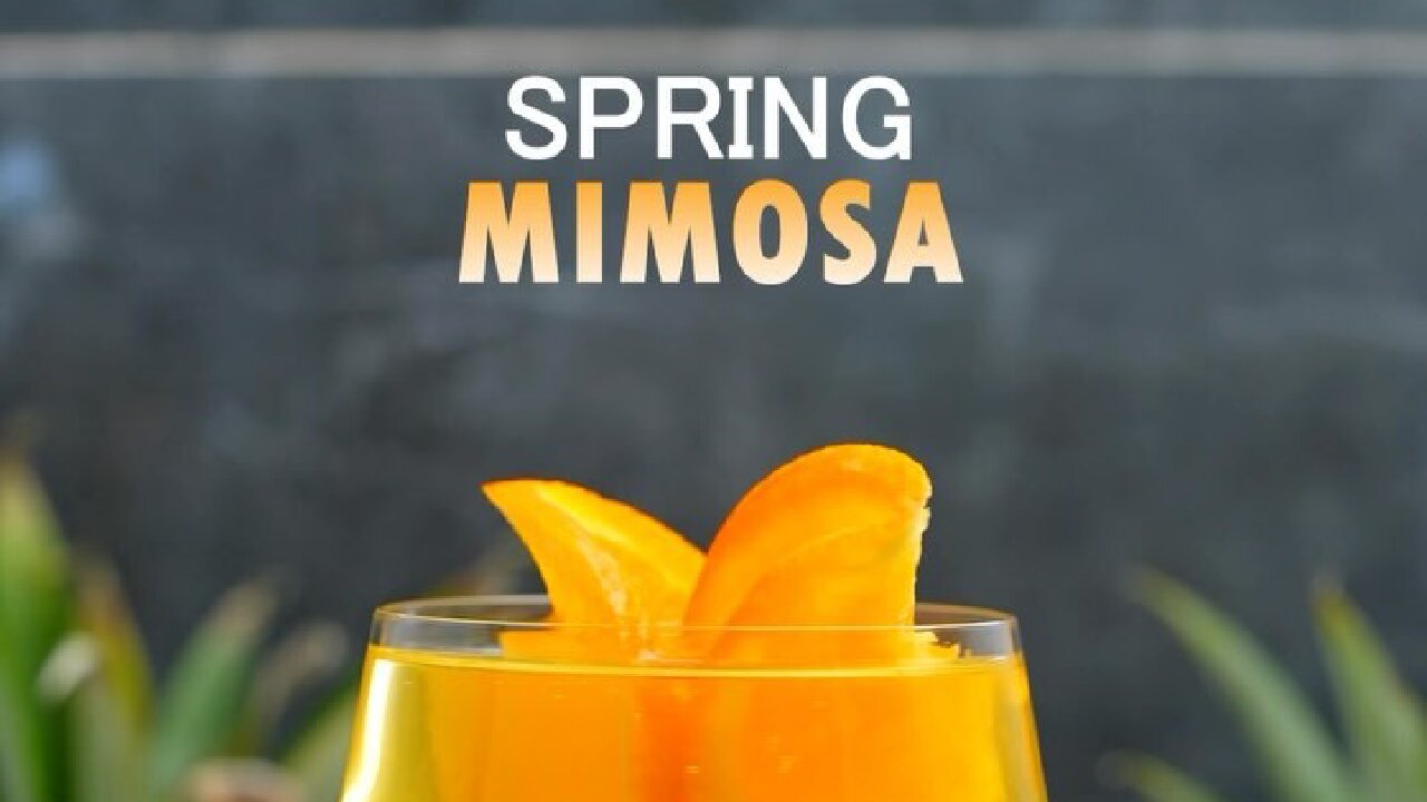 COCKTAIL SPRING MIMOSA