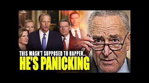Schumer's Latest Power Move Backfires on Live TV