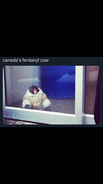 This dude will become the mayor of Minneapolis one day. 🤣