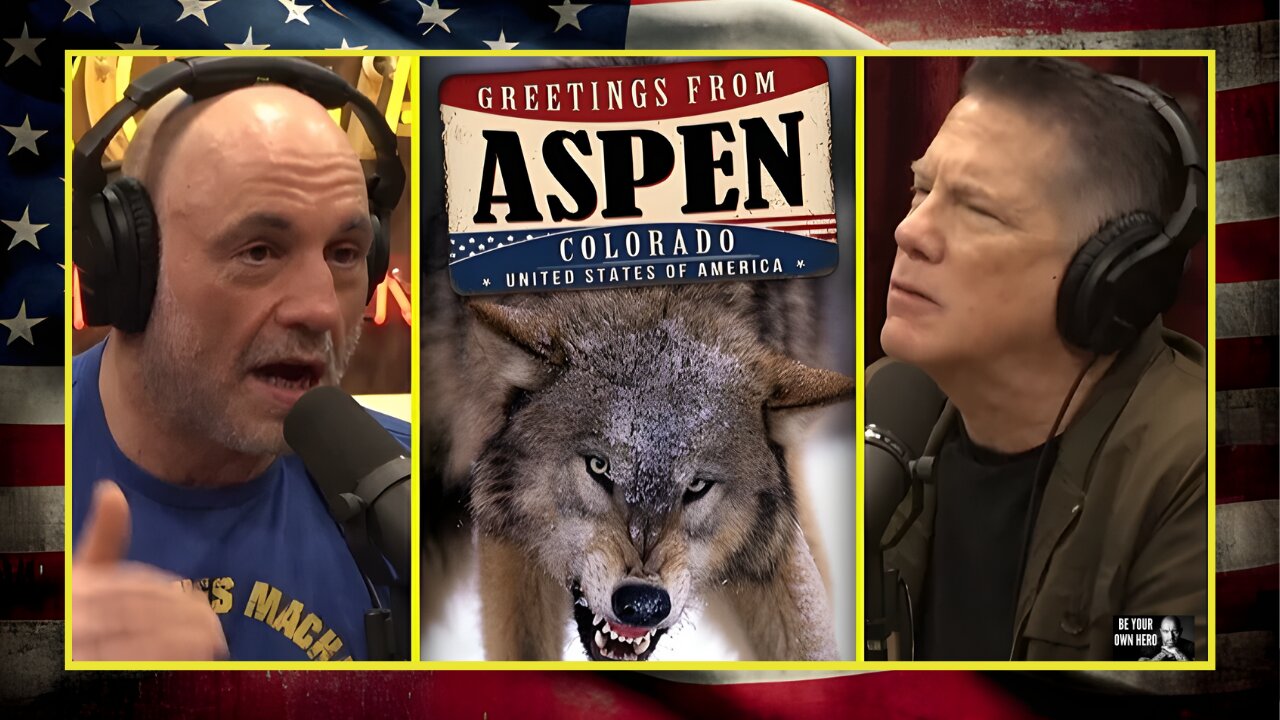 Joe & Mike On The Wolves That Are Showing Up In Aspen, Colorado