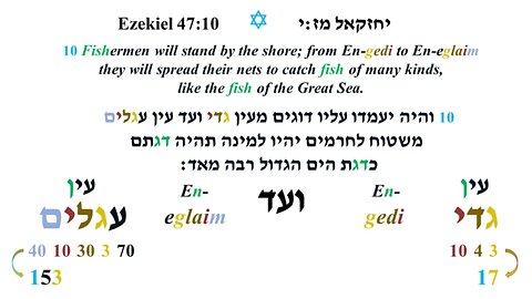 God Math 6 -153 fish
