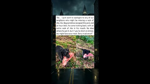 Dog Escapes, Brings Back Someone’s Dinner