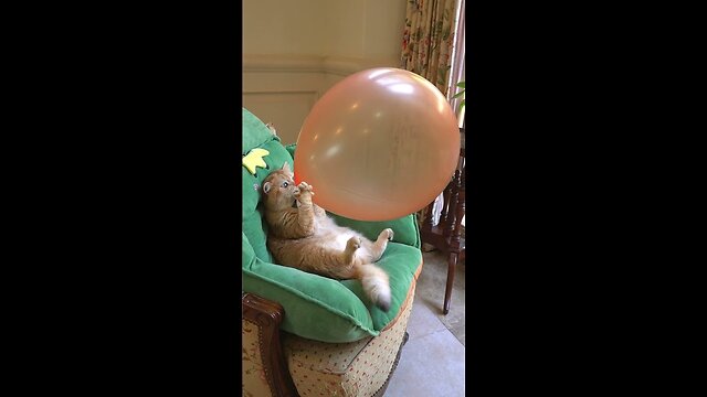 Boom, Scared me!