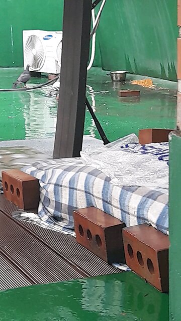 20250620. Jesus Christ.