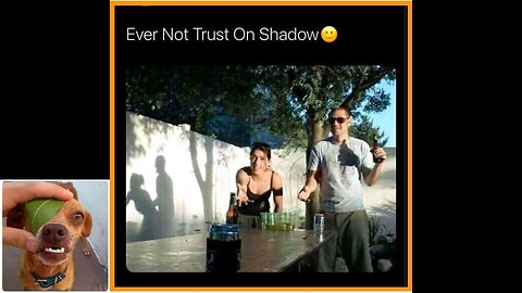 Memes That Will 99.0630% Make You Laugh. (e854)