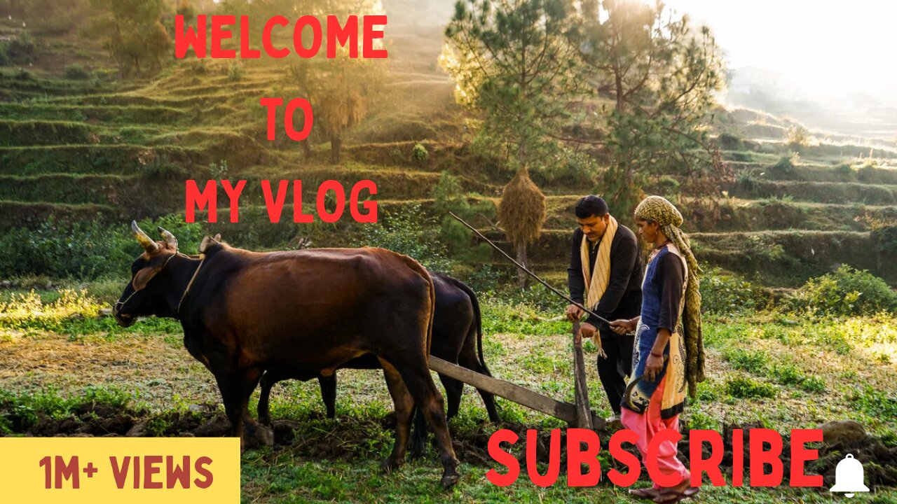 Village Travelibg in my vlog