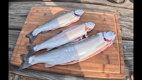 Lake to plate Berryessa catch and cook
