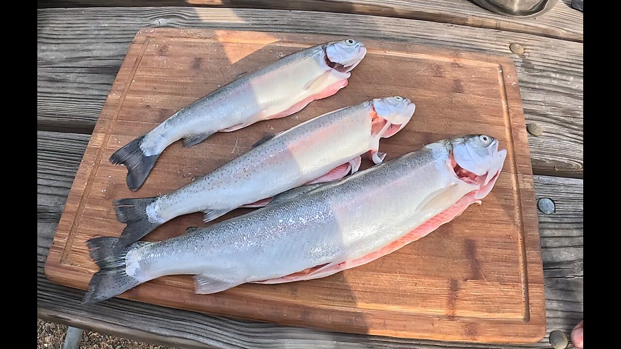 Lake to plate Berryessa catch and cook