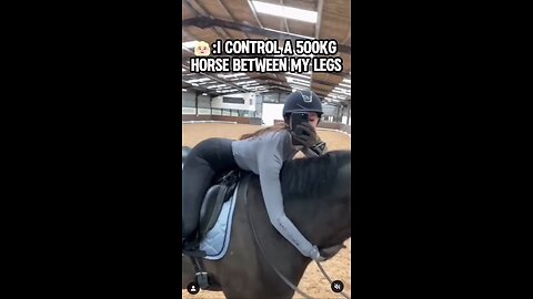 🥷 I've got over 200 horses under my balls