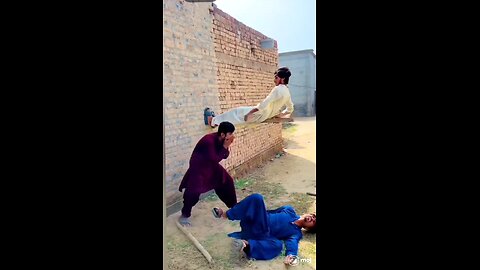 funny videos